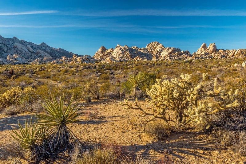 Hike In The Mojave National Preserve