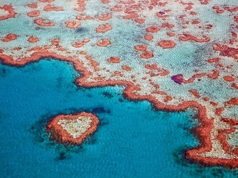 Great Barrier Reef, Australia