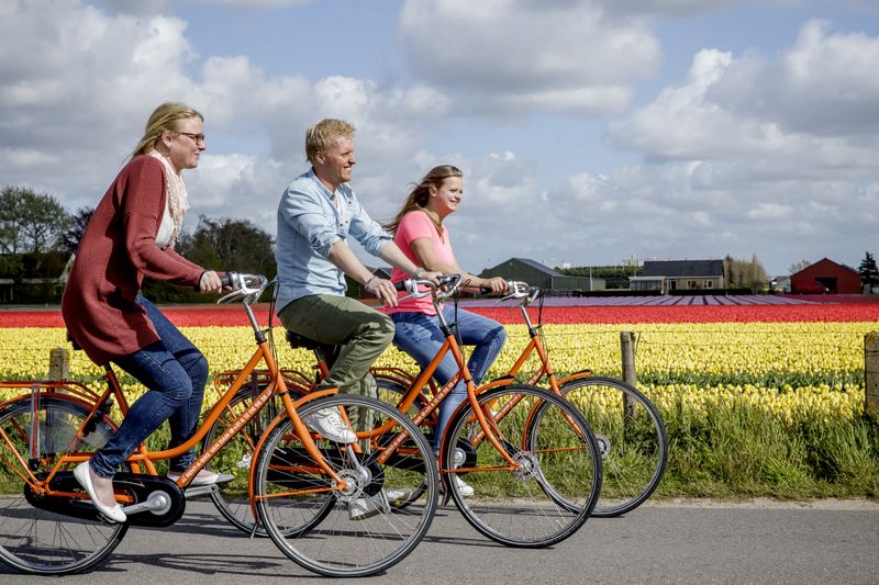 Cycling the Dutch Tulip Fields