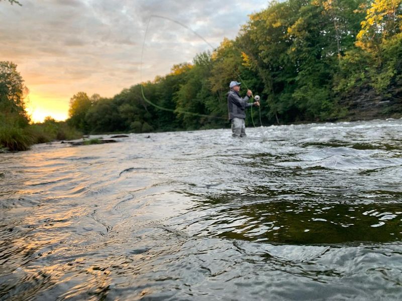 Salmon River, New York: Atlantic Salmon Revival