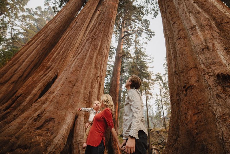 Sequoia & Kings Canyon National Parks, California