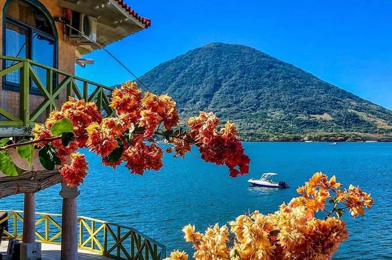 Tiger Island's Volcanic Mystery