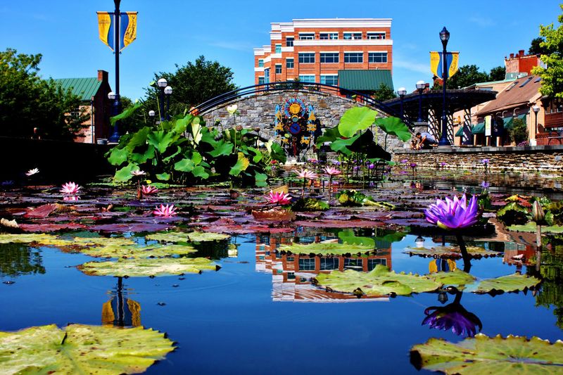 Eclectic Discoveries In Frederick