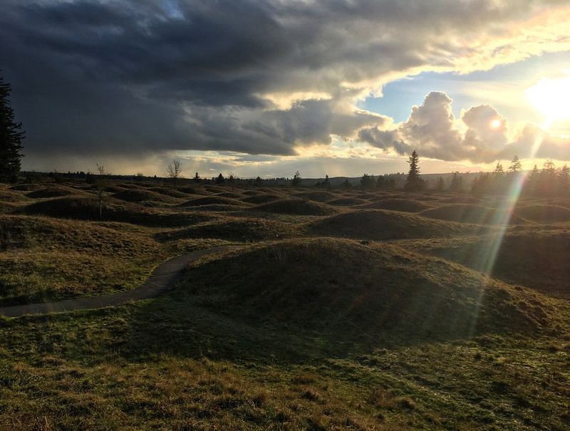 Discover the Mima Mounds