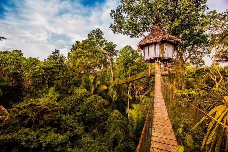 Amazon Canopy Retreat