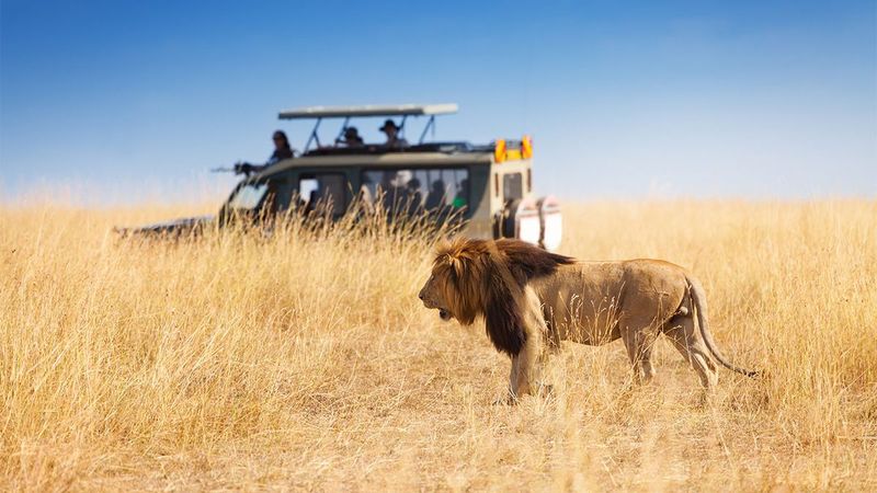 Kenya - Safari Dreams with Reality Checks