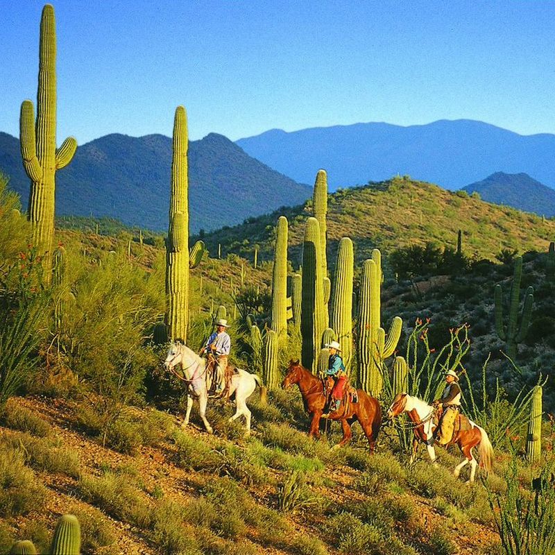 Arizona