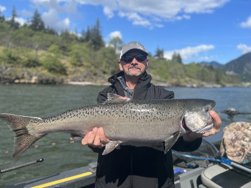 Columbia River, Washington/Oregon: Chinook Central