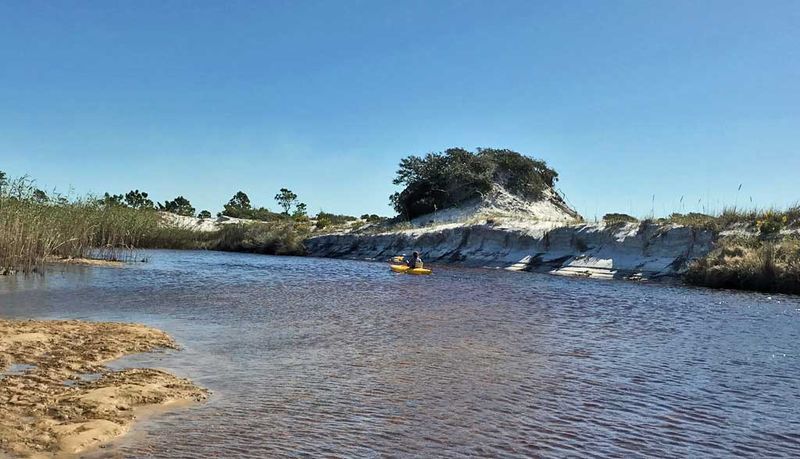 Grayton Beach State Park: The Emerald Coast's Crown Jewel