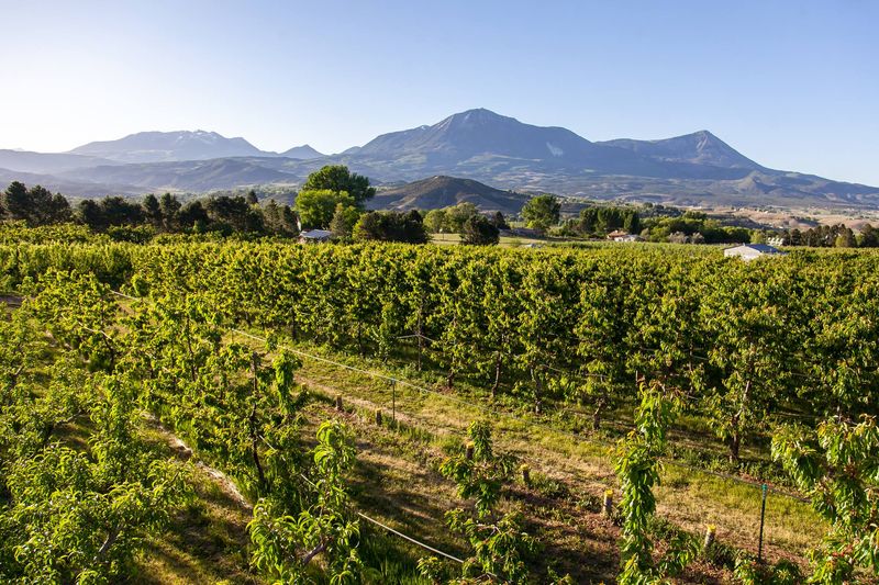 Paonia: Organic Farms and Creative Energy