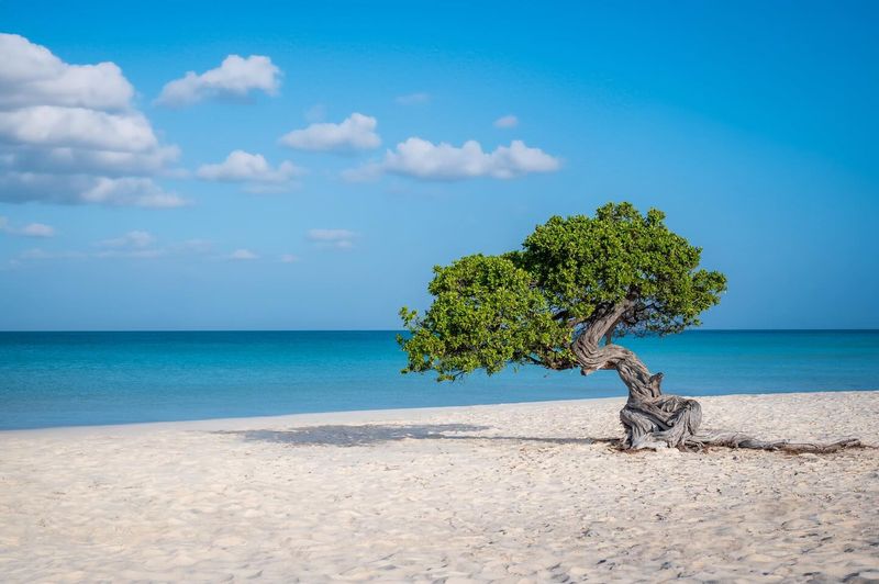 Aruba