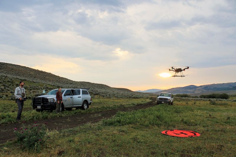 Disrupting The Quiet With Loud Groups Or Drones
