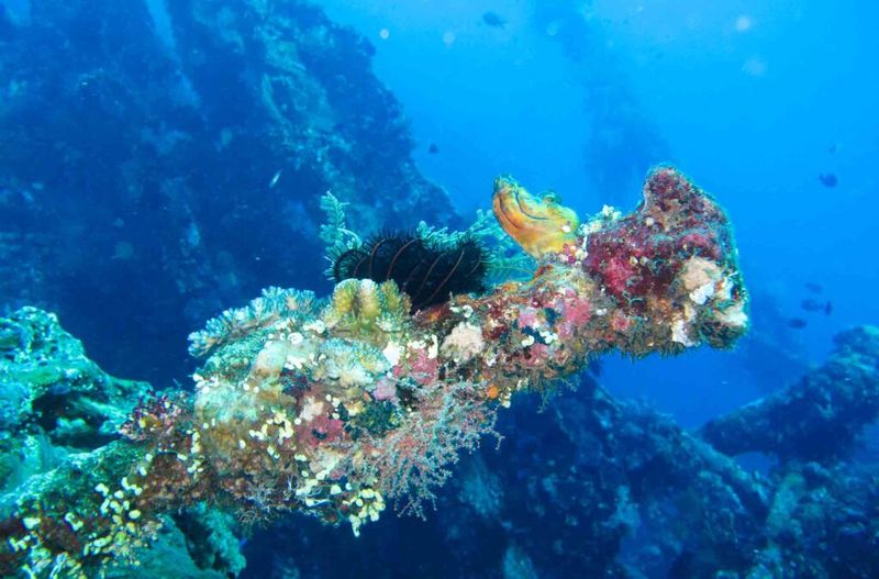 Amed, Bali: Where Volcanic Black Sands Meet Vibrant Marine Life