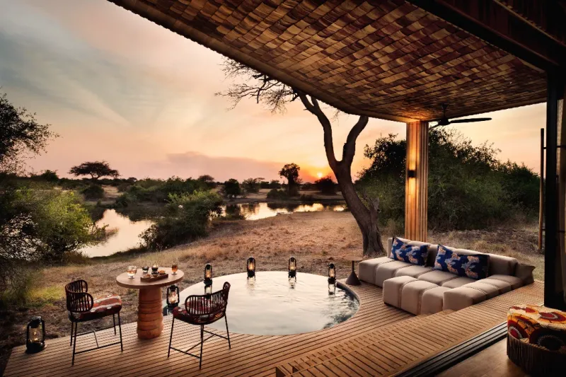 African Safaris: Advanced Wildlife Adventures