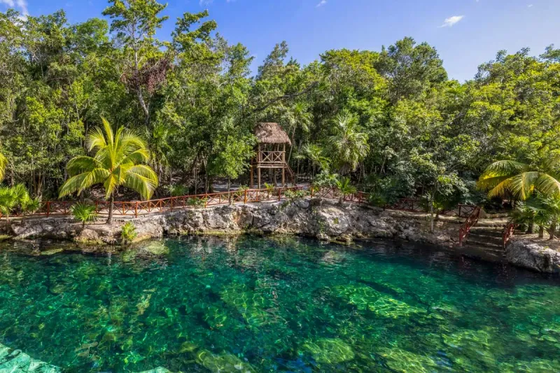 Access To Cenotes And Adventure Activities