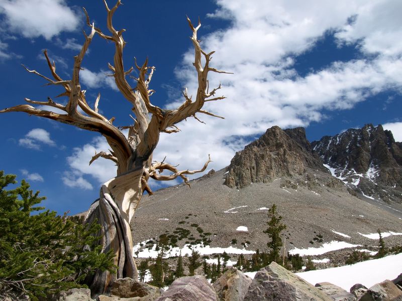 Great Basin National Park, Nevada