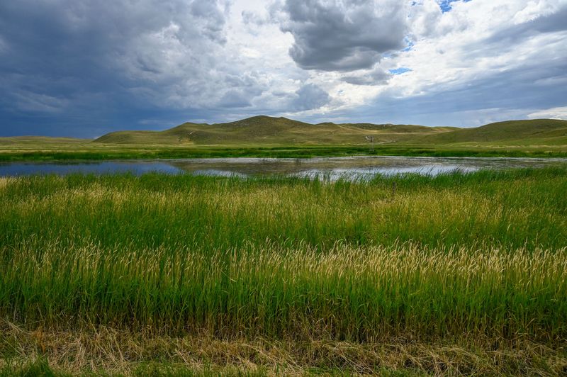Cherry County, Nebraska