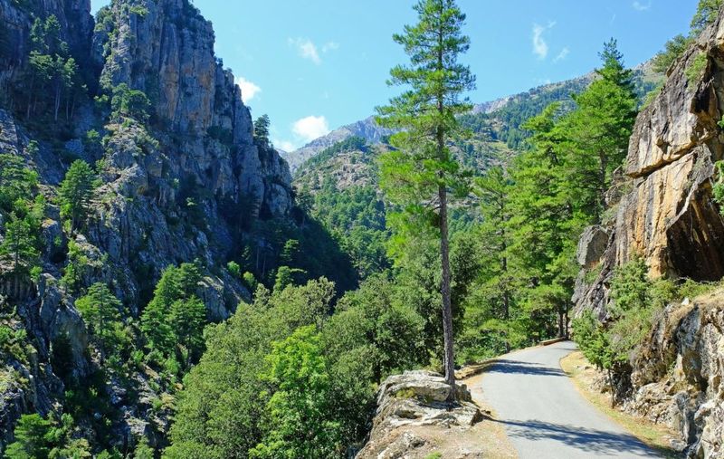 Restonica Valley Road: Alpine Adventure In Mediterranean Paradise