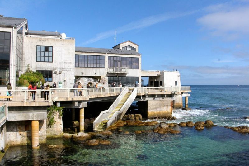 Days 9-10: Aquarium Wonders Meet Fairy Tale Villages
