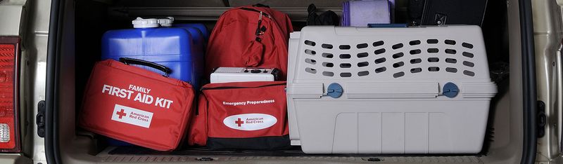 Create a Plan for Medical Emergencies