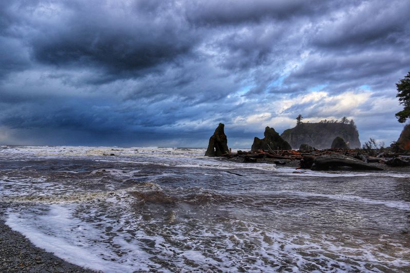 Olympic's Moody Winter Coastline
