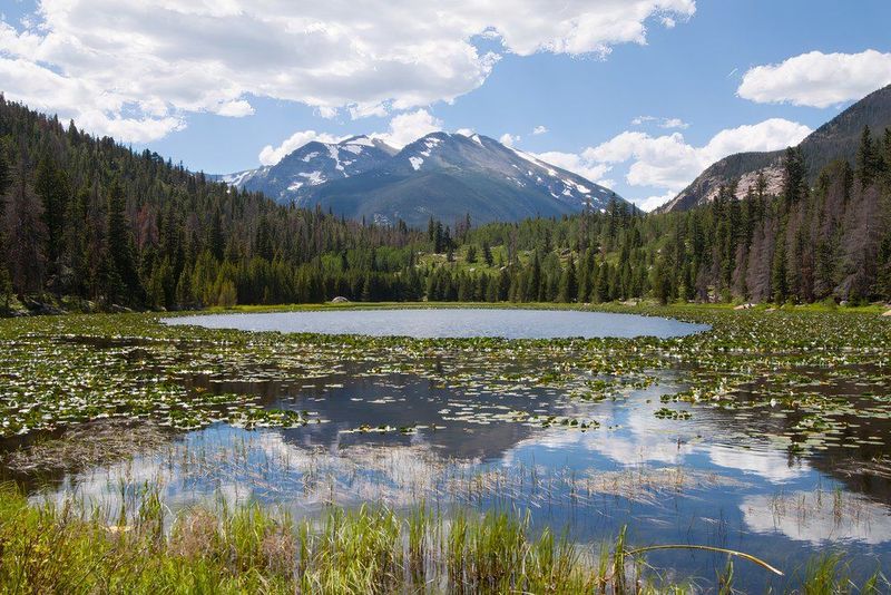 Cub Lake Trail