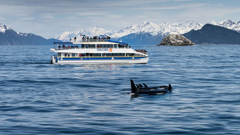 Kenai Fjords National Park: Where Glaciers Meet Ocean