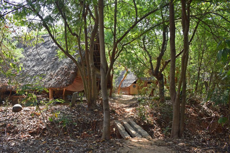 Sadhana Forest, Auroville