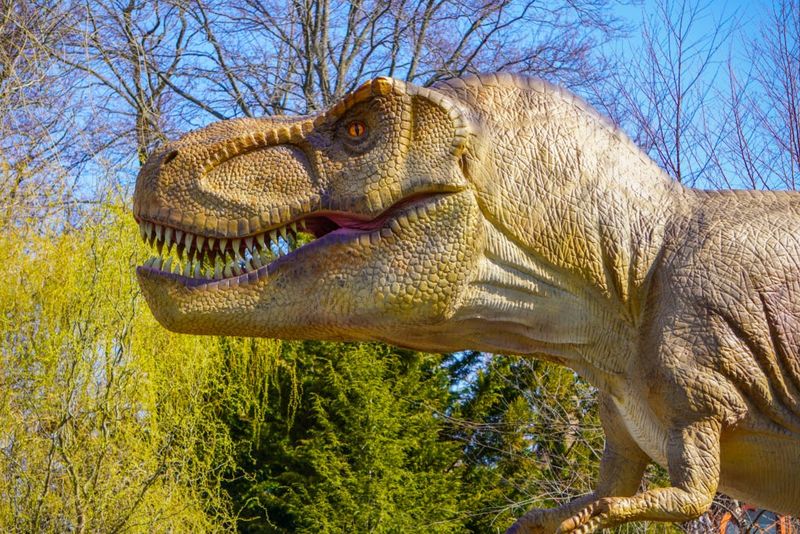 Dino Don Animatronic Dinosaurs – Traveling Exhibit