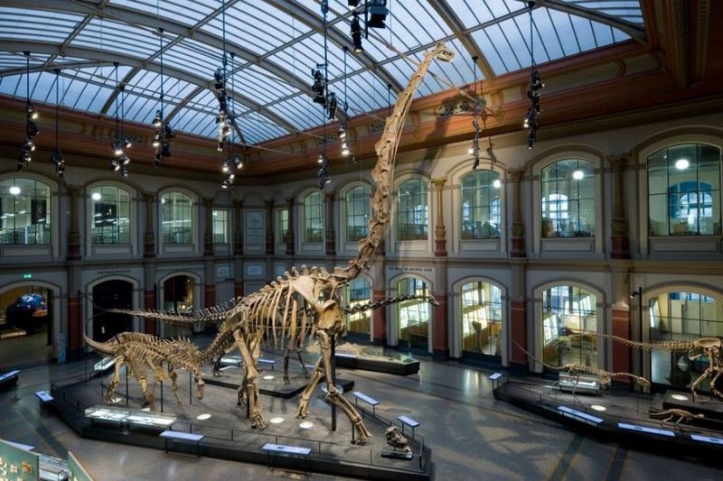 Museum für Naturkunde (Berlin, Germany)