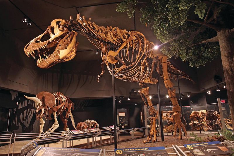 Great Plains Dinosaur Museum – Malta, Montana