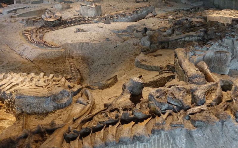 Zigong Dinosaur Museum, Sichuan, China
