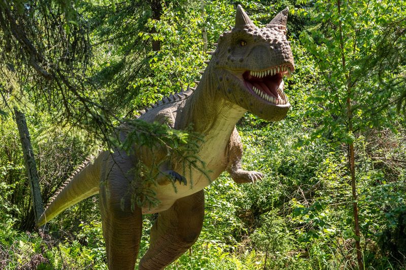 Jurassic Forest – Gibbons, Alberta, Canada