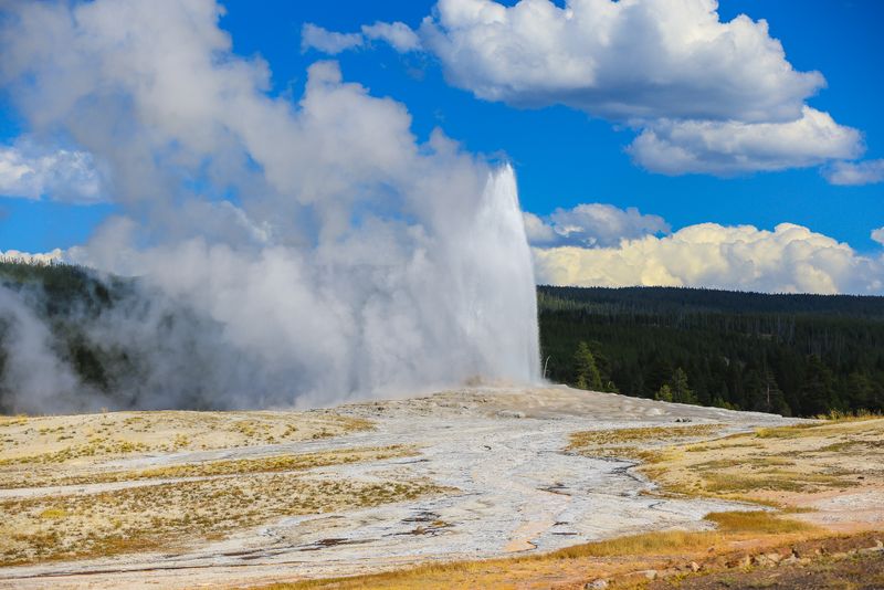 Yellowstone National Park Adventures