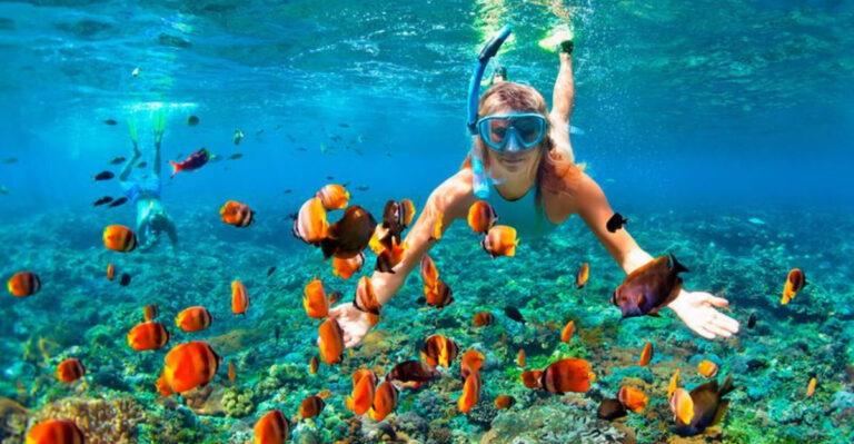 Dive Into Adventure At These 21 Unique Snorkeling Spots Across The Globe