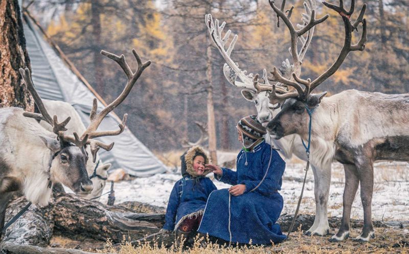 Living with Nomadic Reindeer Herders in Mongolia