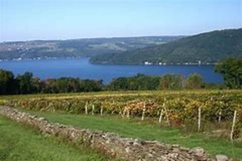 Finger Lakes Fiasco: New York's Wine Country Disappointment