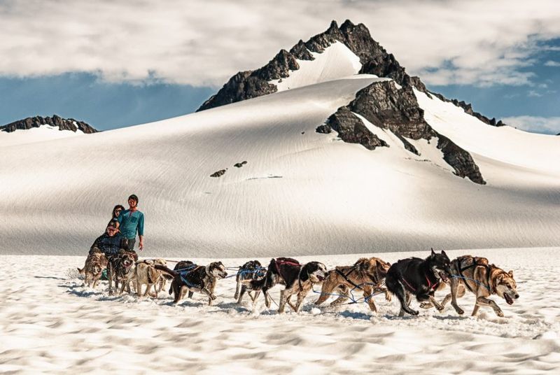 Go Dog Sledding on a Glacier