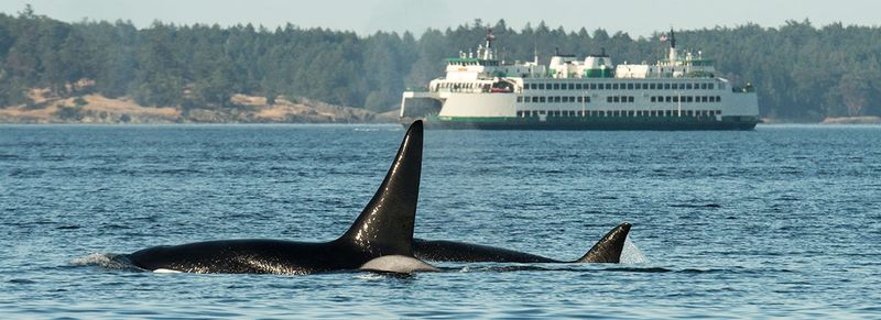 San Juan Islands, Washington