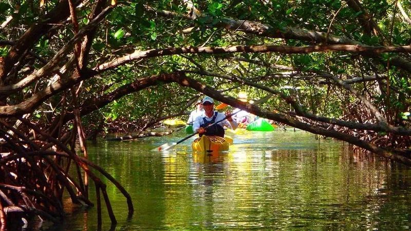 Take A Kayak Or Paddleboard Out On The Bay