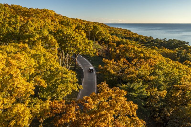 Tunnel Of Trees, Michigan