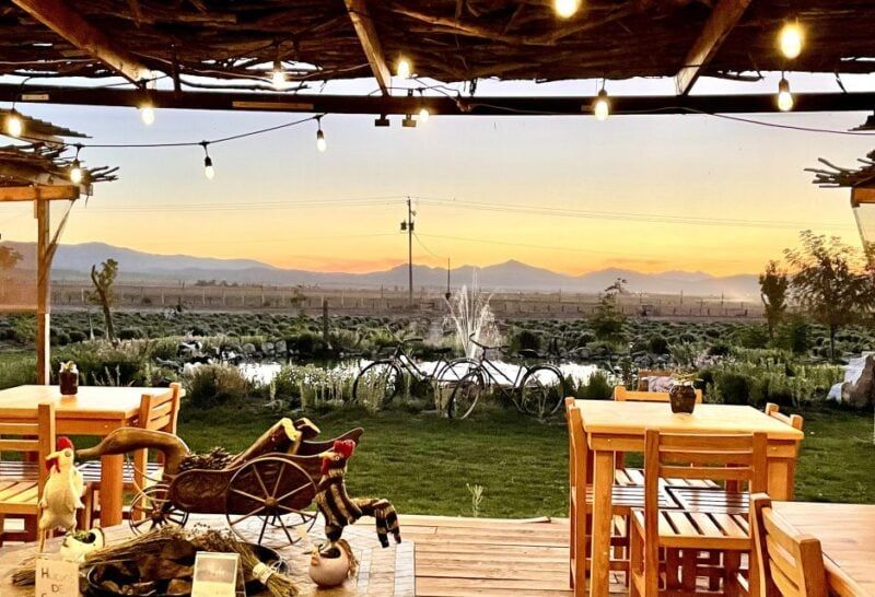 Sample Artisanal Cheeses at Rancho La Campana