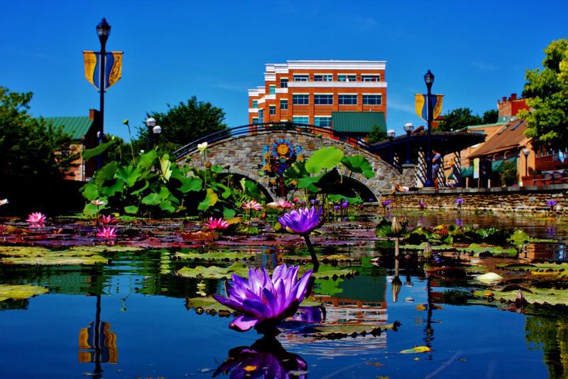Frederick's Historic Waterfront Revival