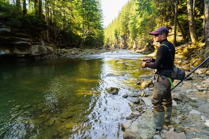 Enjoy Fishing And Picnicking In The Area