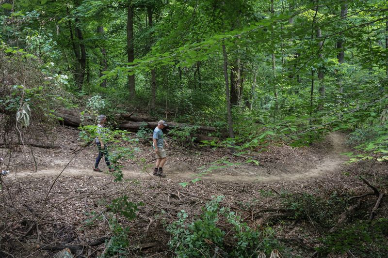 Bike or Hike in Cherokee Park