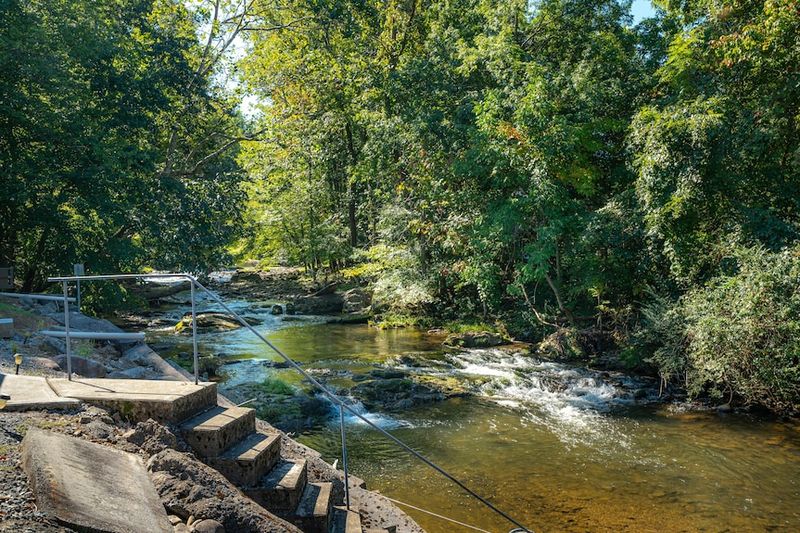 Enjoy Fly Fishing In Cosby Creek