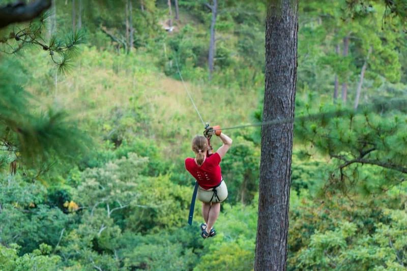 Zipline Through the Trees on Camano Island