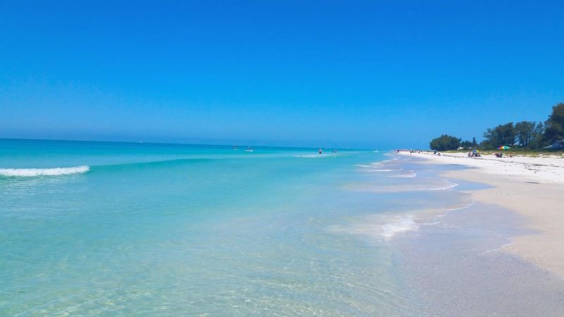 Go Snorkeling At Bean Point