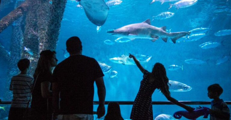 Explore The Best Of US Aquariums 15 Unmissable Marine Attractions