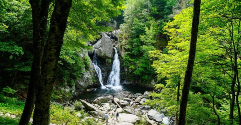 Explore The Most Beautiful Waterfall On Mount Greylock In Massachusetts